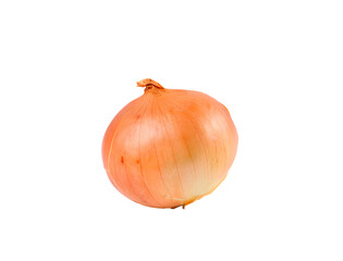 Ripe onion on  transparent png