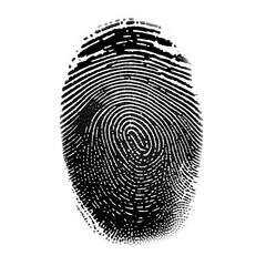 Identity fingerprint on white background