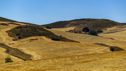 Paysage vallonée en plein été