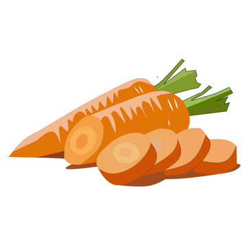 fresh carrot image white background