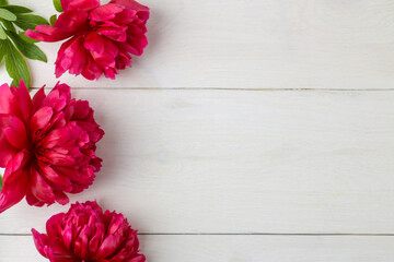 Frame of beautiful bright pink peony flowers on a white wooden background. top view. space for text