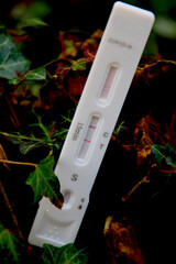 Coronavirus SARS-CoV-2-Virus. Schnelltest ...positives Ergebnis für COVID-19 mit Testkit