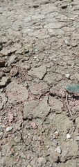 Texture Cracks in clay surface