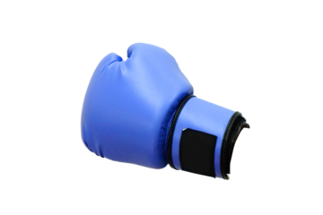blue boxing gloves