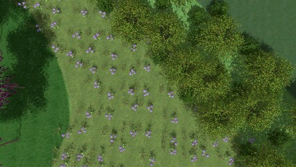 3D illustration of modern city square landscape design. Computer visualization of landscape design. Contrasting composition of a group of plants and smooth lines.