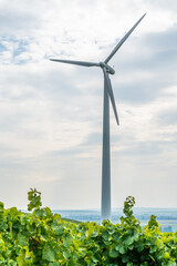 Large modern wind turbine with vine plants in front during cloudy day, view from low angle