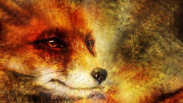 Painting of wild red fox. Ornamental background. Loop Animation.