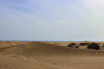 Fototapeta na wymiar Maspalomas sand dunes hot summer day