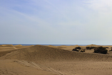 Maspalomas sand dunes hot summer day