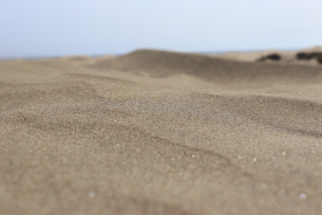 Maspalomas sand dunes hot summer day
