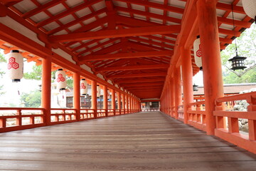 広島県、宮島の風景、厳島神社、工事中の大鳥居、鹿と遊ぶ女の子、参拝する親子