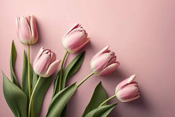 bouquet of pink tulips