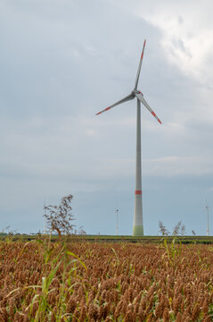 Wind park with large modern wind turbine with agricultural field in front during cloudy day, vertical shot