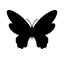 Vector isolated ..one single beautiful symmetrical butterfly colorless black and white outline silhouette shadow shape