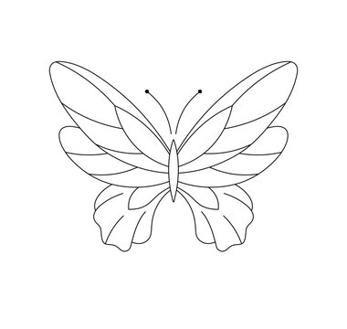 Vector isolated one single beautiful butterfly symmetrical wings colorless black and white contour line easy drawing
