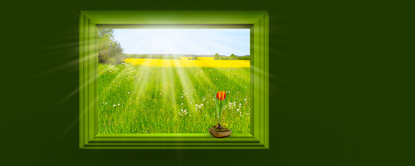 view through the window into the springtime nature like a picture frame, tulip on the windowsill in sunhine, spring concept banner background with copy space, 3d composition