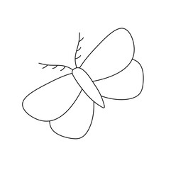 Vector isolated one simple moth butterfly with fluffy antennae colorless black and white contour line easy drawing