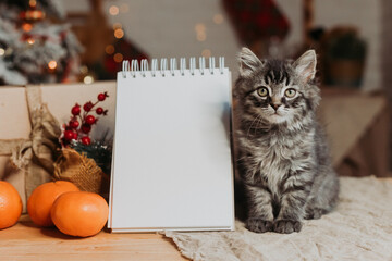 tangerines, a blank sheet of notepad and a gray cat on the table against the background of a Christmas tree