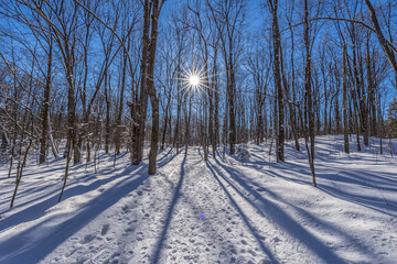 Winter wonder land not far away from Ottawa, Ontario in Canada at a cold but sunny day in winter.