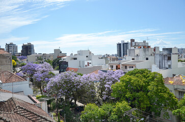 Fototapeta na wymiar View of the Bela Vista neighborhood in Porto Alegre 
