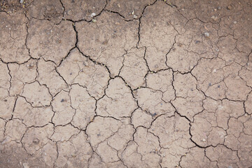 Cracked dry earth background