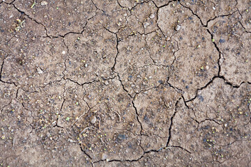 Cracked dry earth background