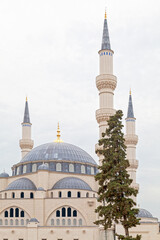 Fototapeta na wymiar Namazgjah Mosque in Tirana