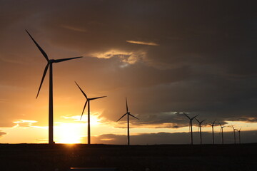 Fototapeta na wymiar Wind Turbines outside of Sterling, Colorado, at sunset