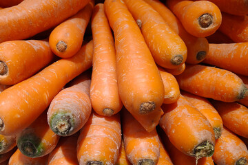 Stack of carrots on a market stall