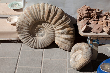 Fossils, sand roses and gemstones for sale at a Moroccan souk