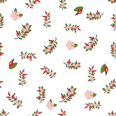 Seamless pattern with rosehip berries and flowers. Collection of various berries, herbs