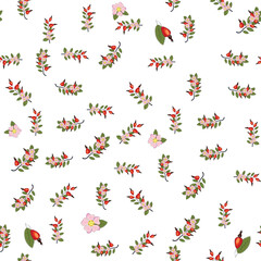 Seamless pattern with rosehip berries and flowers. Collection of various berries, herbs