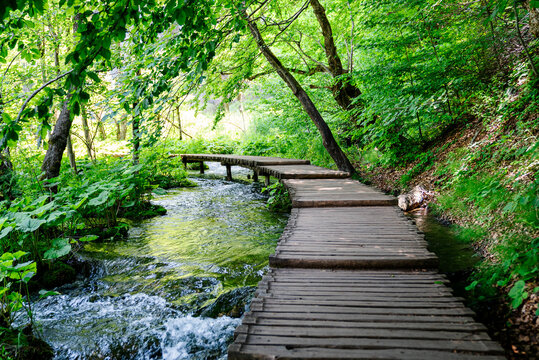 Wooden Bridge in Forest © Furrowphotography