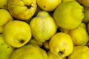 Stack of quinces on a market stall
