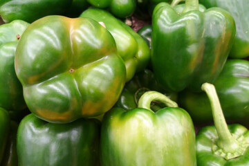 Stack of green bell peppers on a market stall