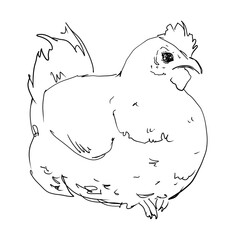 Linear sketches of poultry in graphics. High quality illustration