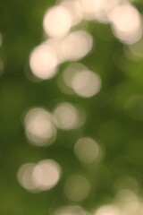 Obraz premium green bokeh background