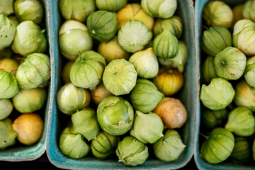 tomatillos at the market