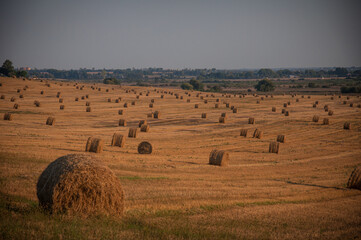 On an early autumn evening, bales of straw are waiting to be picked up from the field.