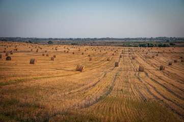 On an early autumn evening, bales of straw are waiting to be picked up from the field.