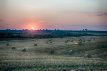 On an early autumn evening, bales of straw are waiting to be picked up from the field.