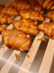 Freshly baked croissants in a bakery