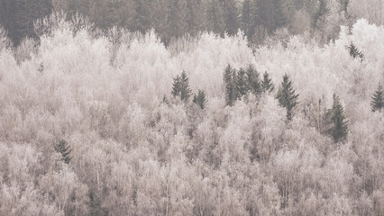 Winter by the Skreiafjella Mountains, Norway.