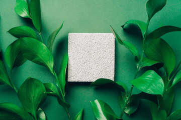 Product presentation scene made with pumice stone on green background with fresh green leaves.