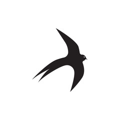 Bird logo vector template illustration icon