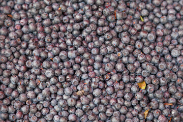 Stack of bilberries on a market stall