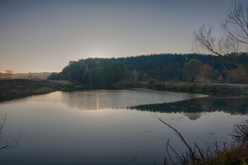 The beautiful forest belongs to the Kozlin forestry in Ukraine.