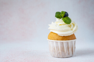 delicious vanilla cake with berries and mint on a light background