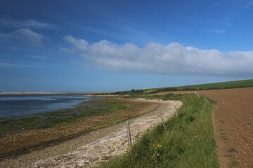 Chesil Beach, Dorset.