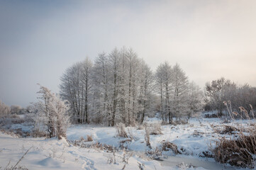 Winter is enchanting with its snow, the crunch of frost, covered the villages and towns.